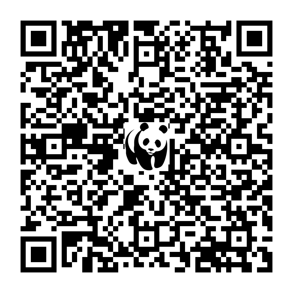 Scan deze QR-code om te doneren (vernieuw de pagina als je geen QR-code ziet)