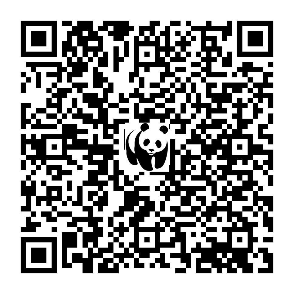 Scan deze QR-code om te doneren (vernieuw de pagina als je geen QR-code ziet)