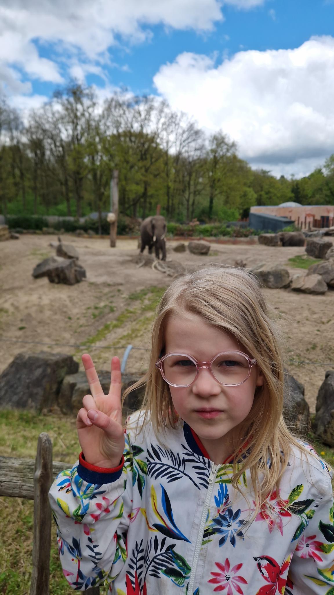 Papier van olifantenpoep