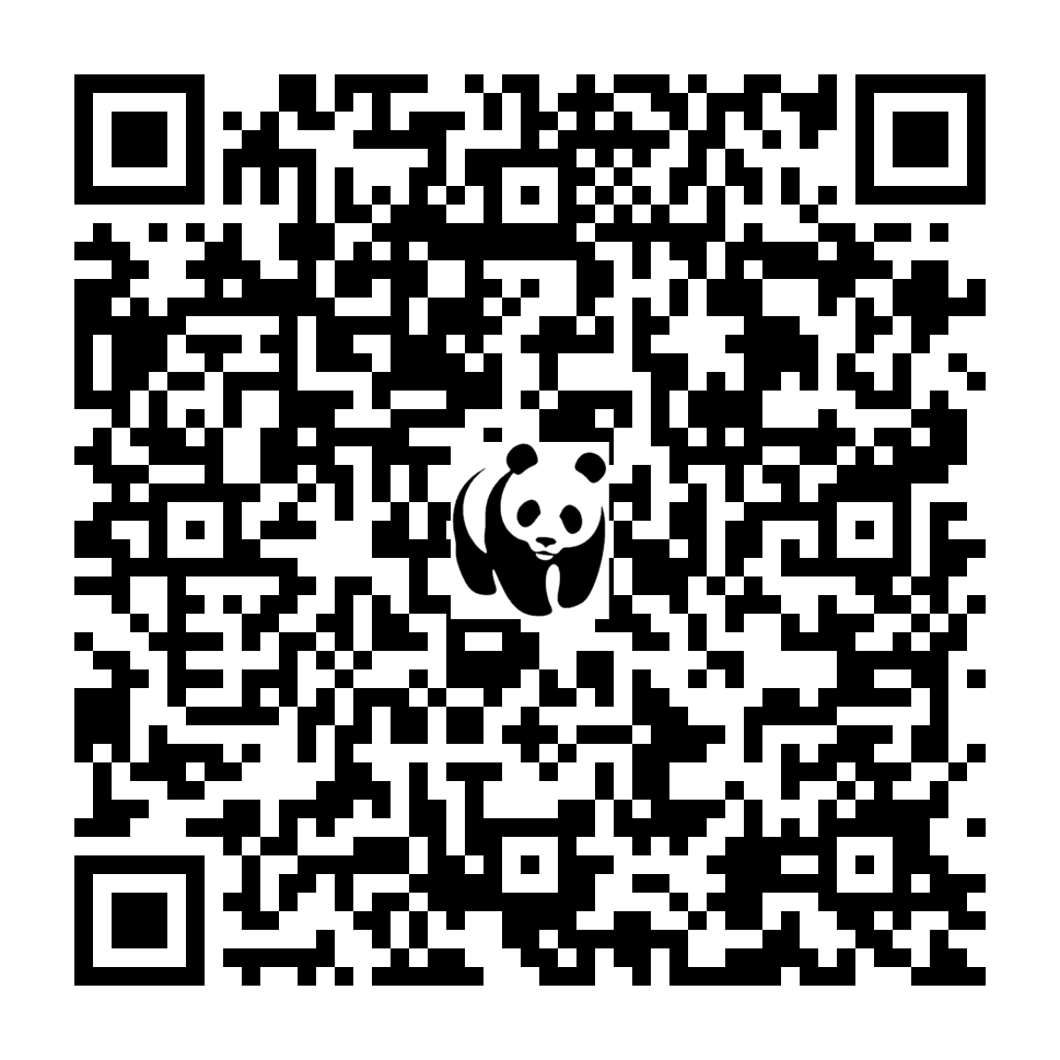 Scan deze QR-code om te doneren (vernieuw de pagina als je geen QR-code ziet)