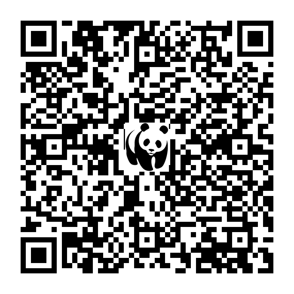 Scan deze QR-code om te doneren (vernieuw de pagina als je geen QR-code ziet)
