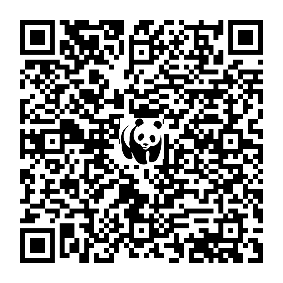 Scan deze QR-code om te doneren (vernieuw de pagina als je geen QR-code ziet)