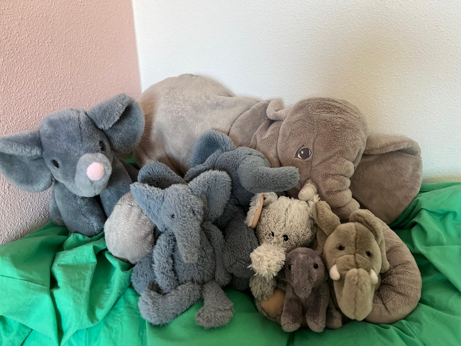 Steffi redt de Olifant