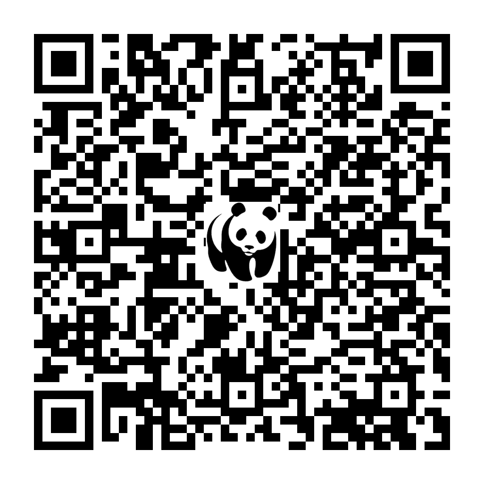 Scan deze QR-code om te doneren (vernieuw de pagina als je geen QR-code ziet)