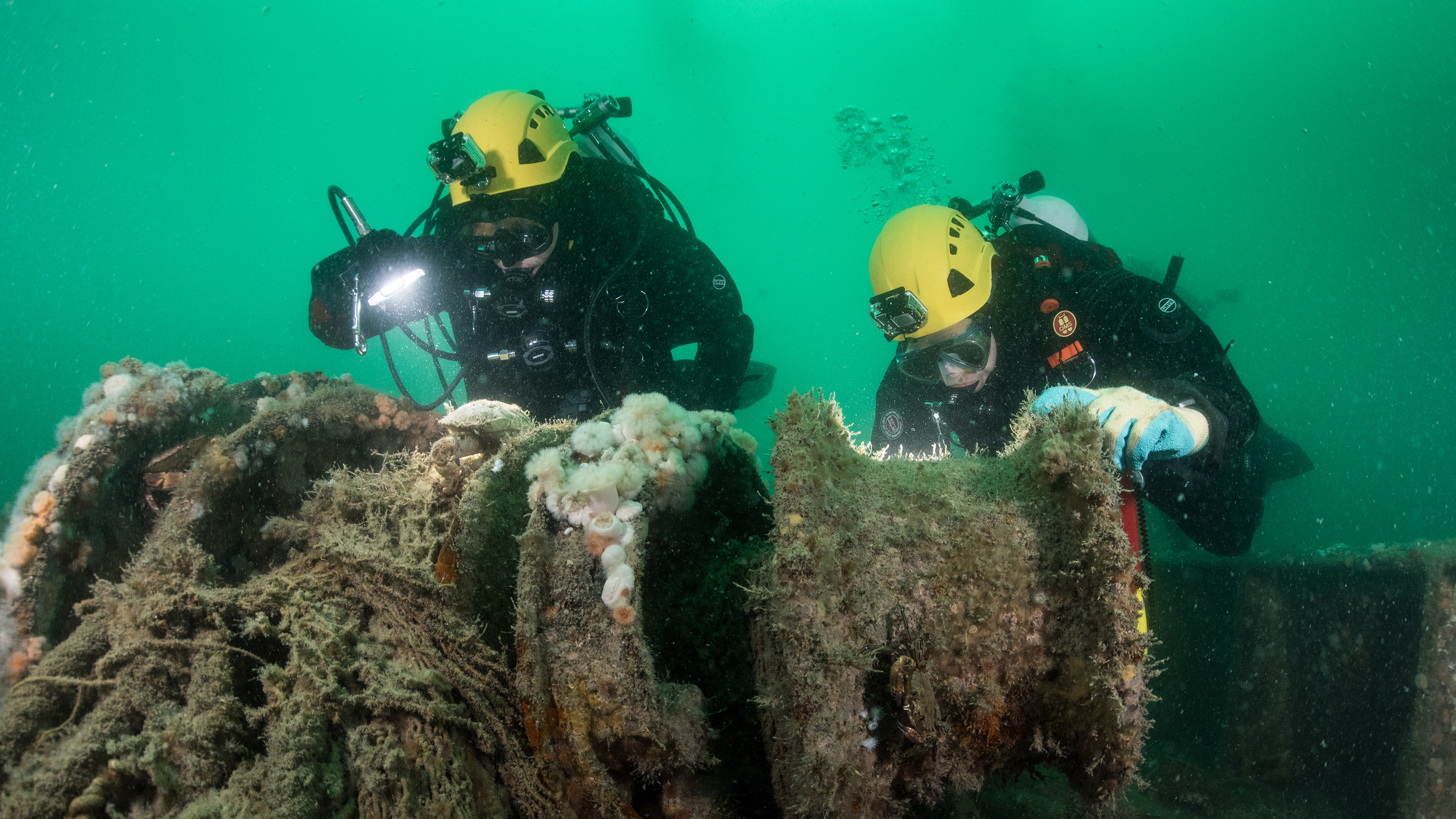 Duikers in de Noordzee