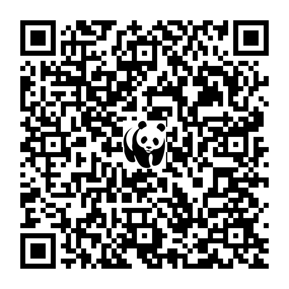 Scan deze QR-code om te doneren (vernieuw de pagina als je geen QR-code ziet)