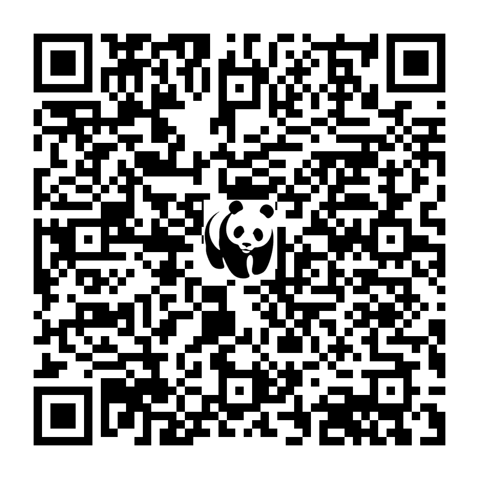 Scan deze QR-code om te doneren (vernieuw de pagina als je geen QR-code ziet)