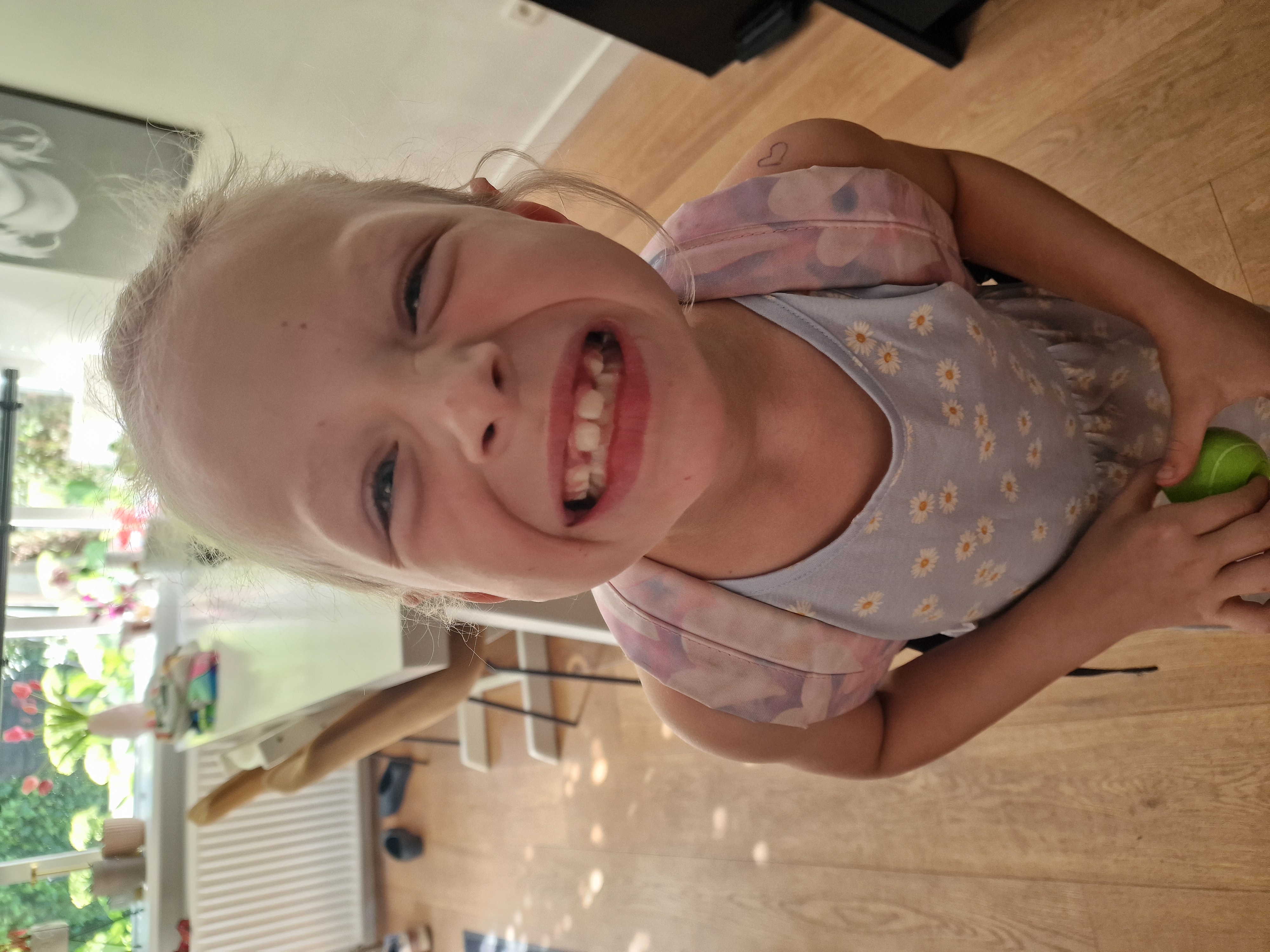 Lize redt de schildpad