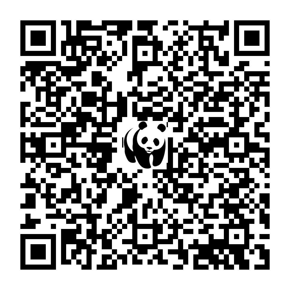Scan deze QR-code om te doneren (vernieuw de pagina als je geen QR-code ziet)