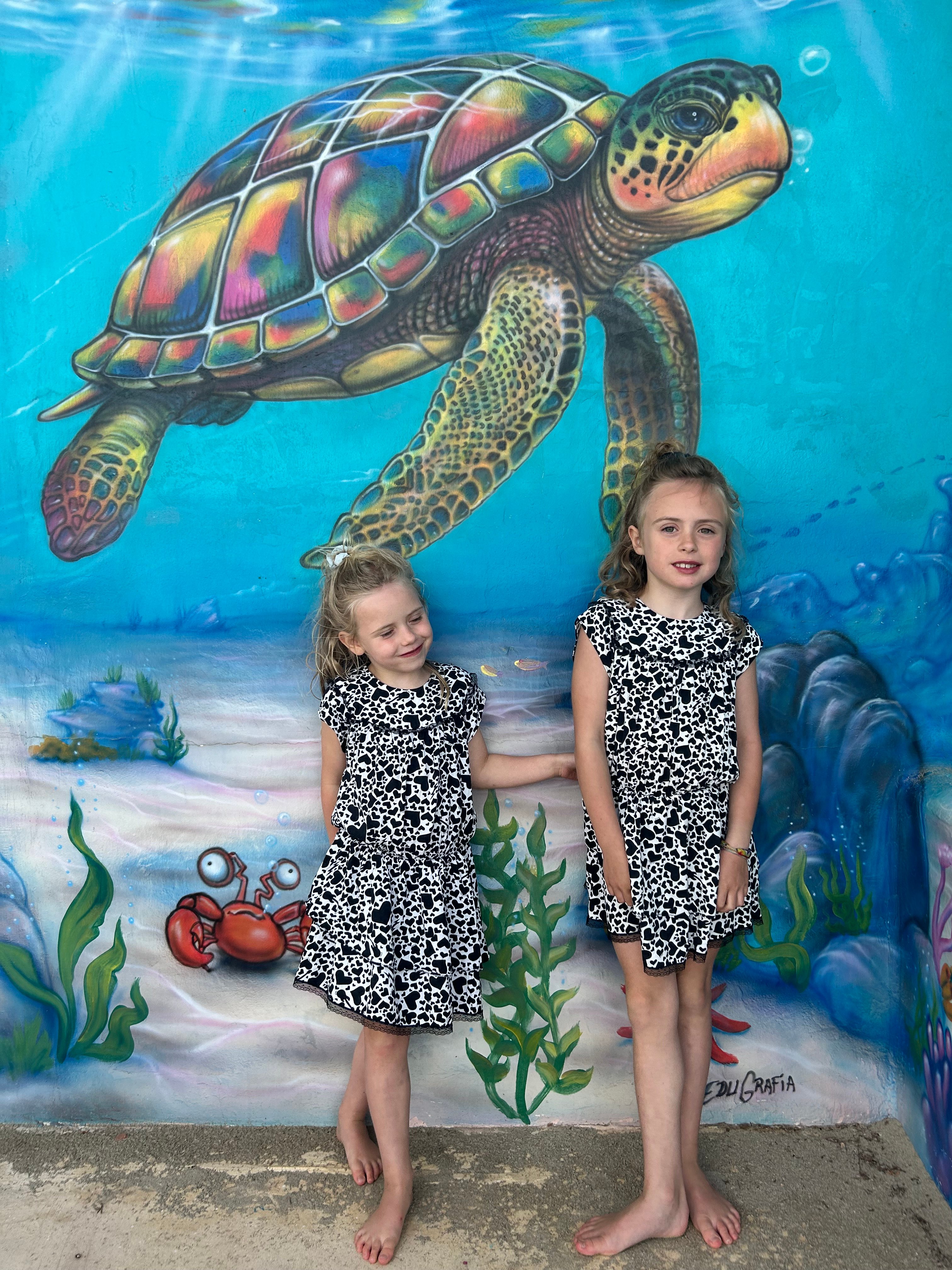 Steppen voor schilpadden