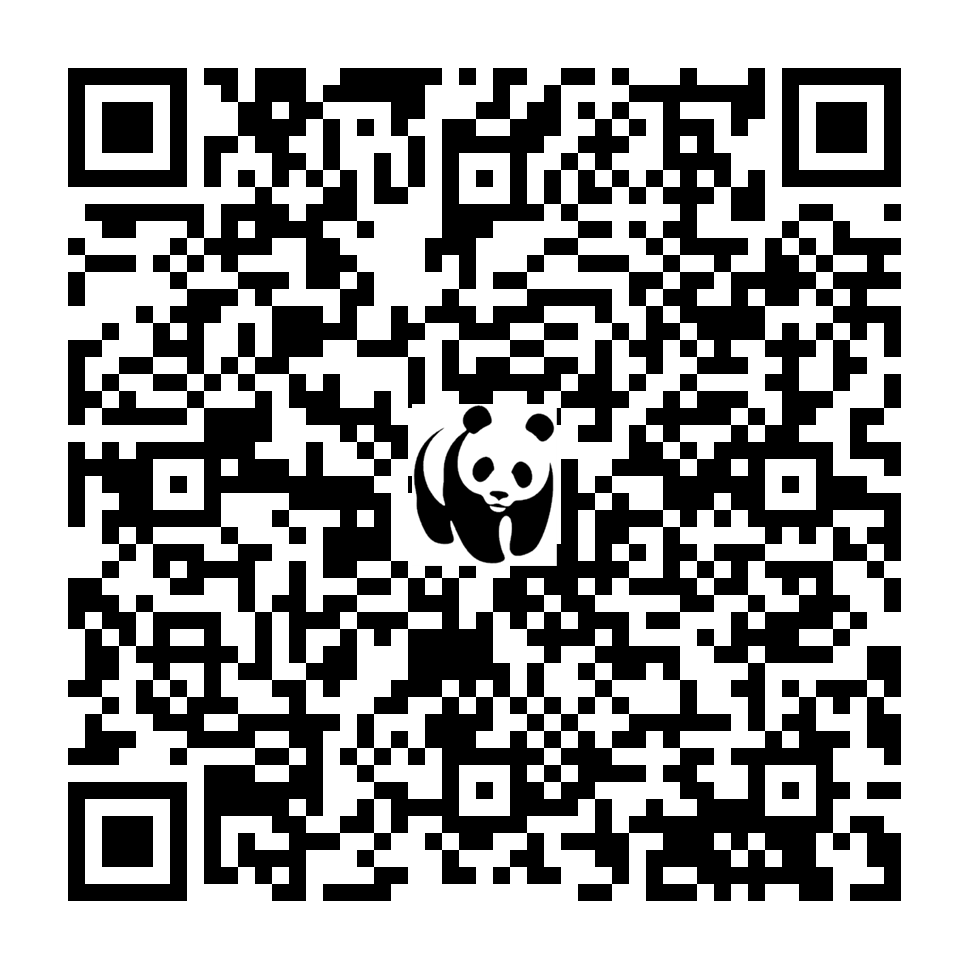 Scan deze QR-code om te doneren (vernieuw de pagina als je geen QR-code ziet)