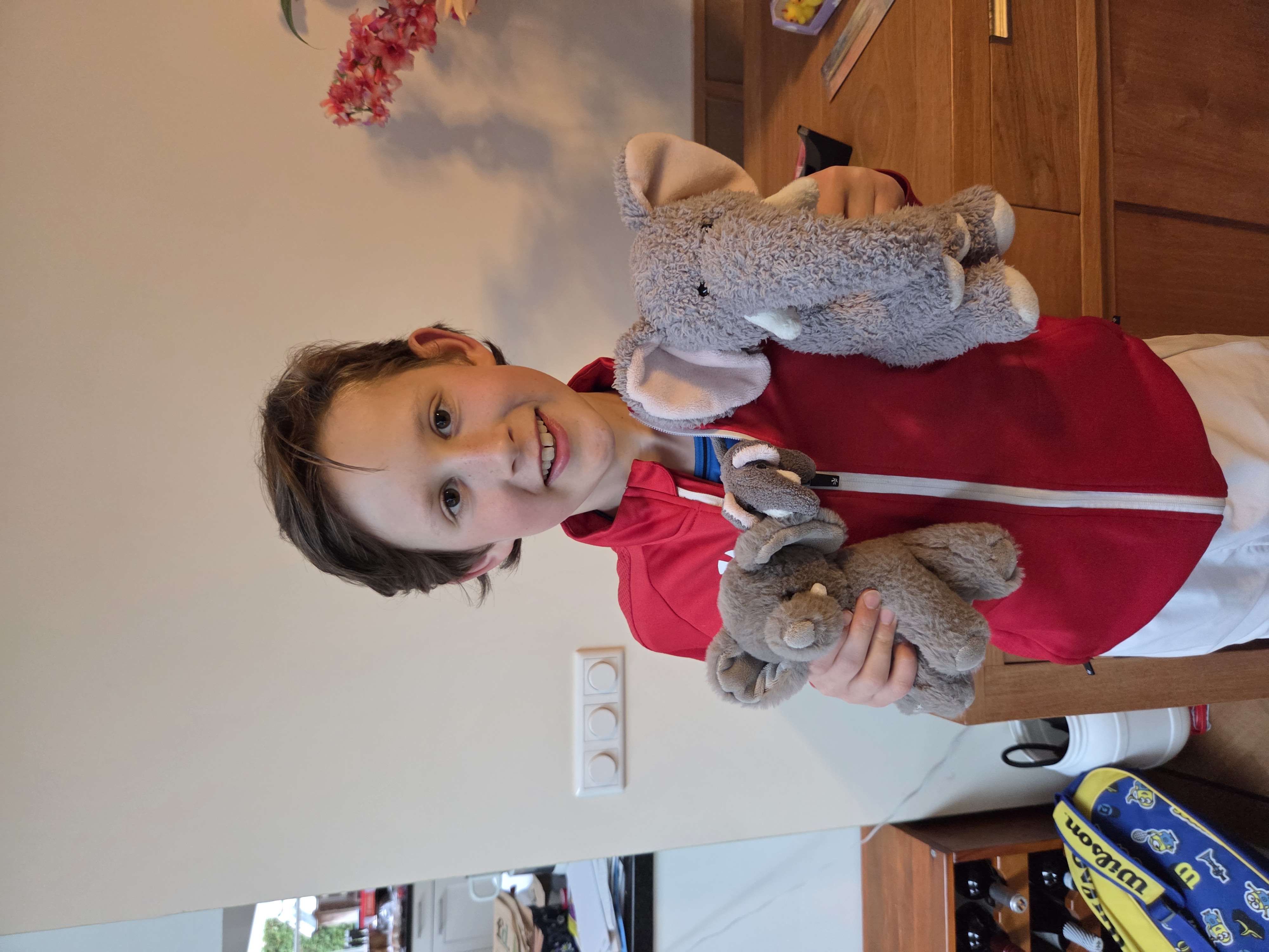 Maupie voor de Olifant