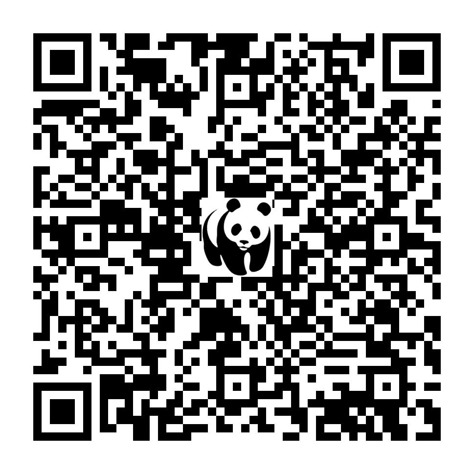 Scan deze QR-code om te doneren (vernieuw de pagina als je geen QR-code ziet)