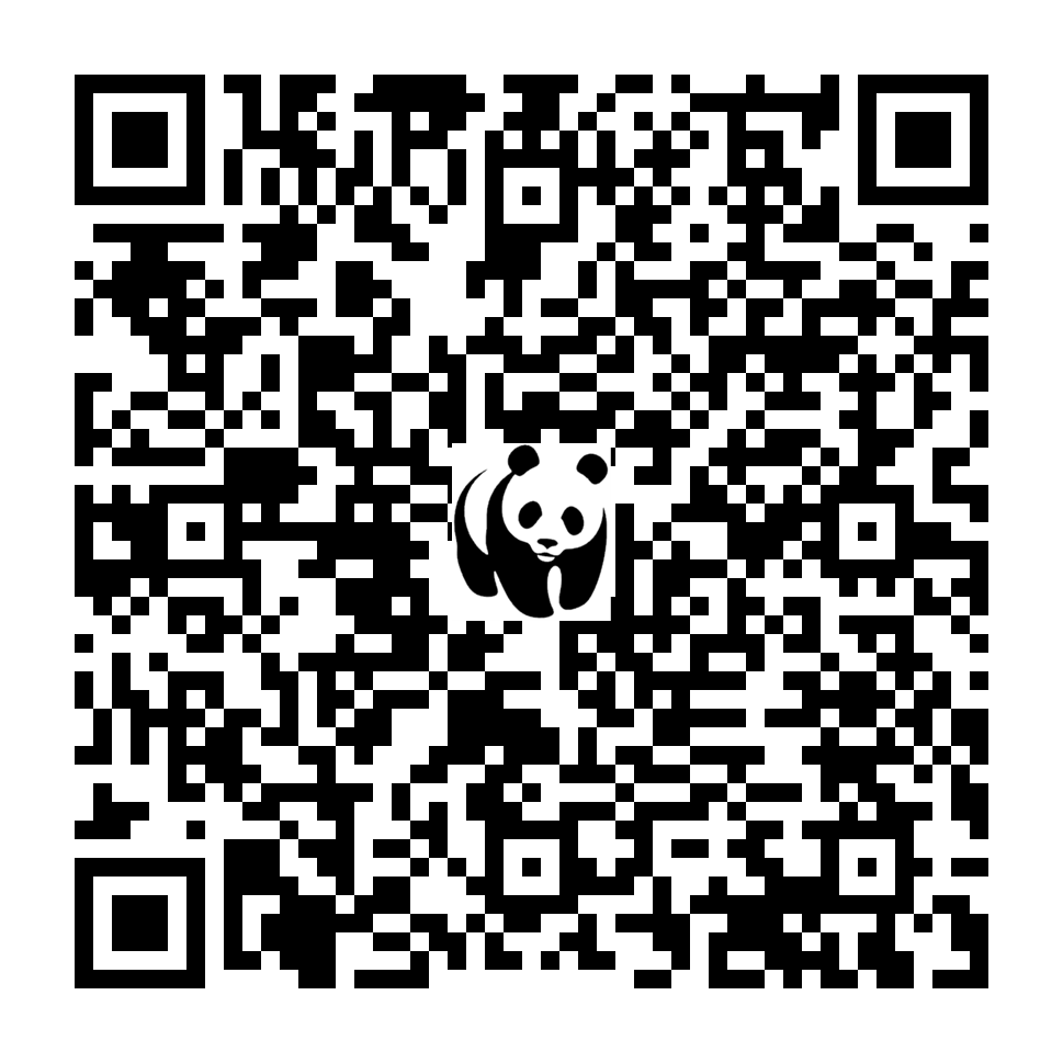 Scan deze QR-code om te doneren (vernieuw de pagina als je geen QR-code ziet)