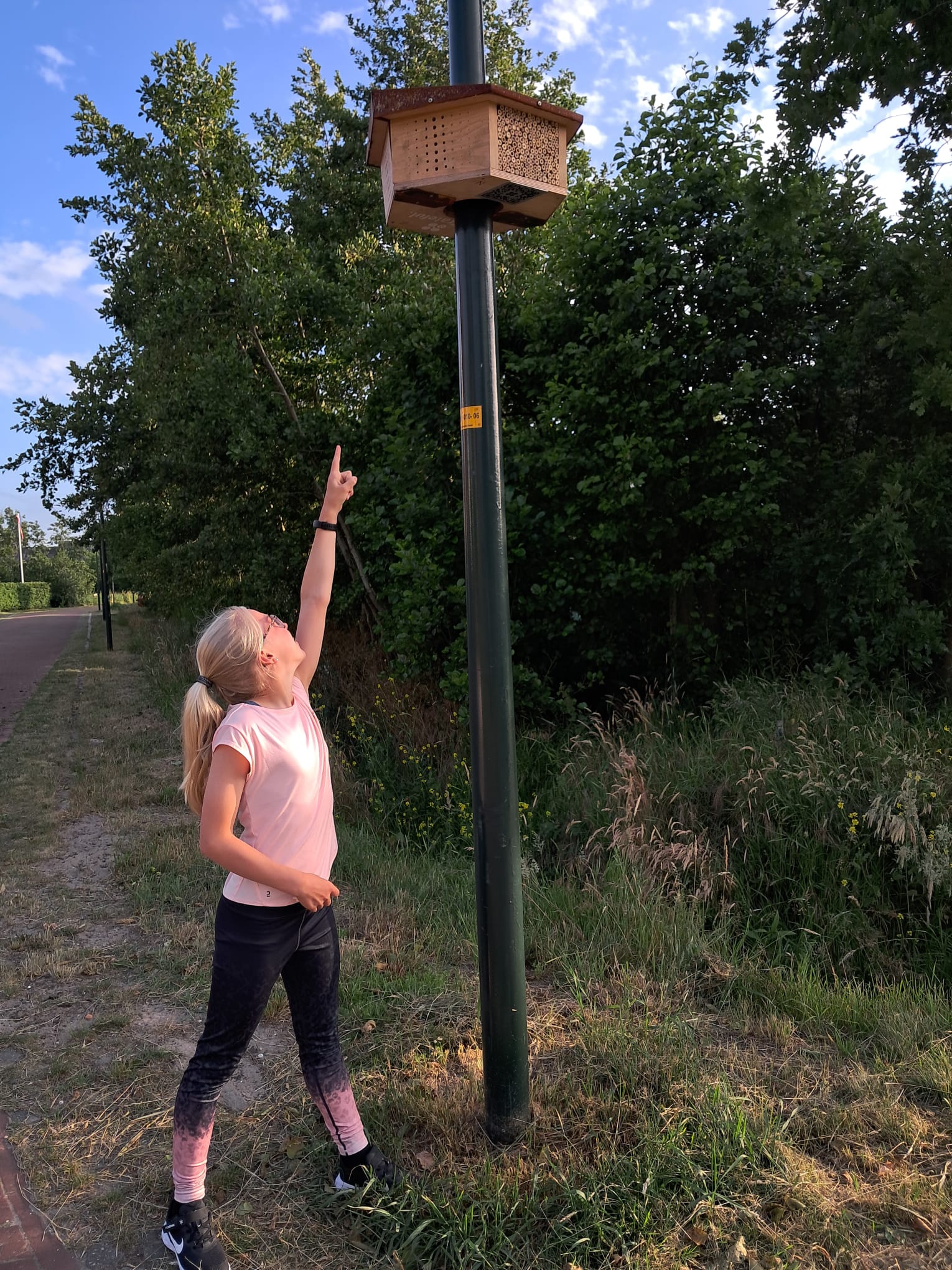 100 km voor de Insecten
