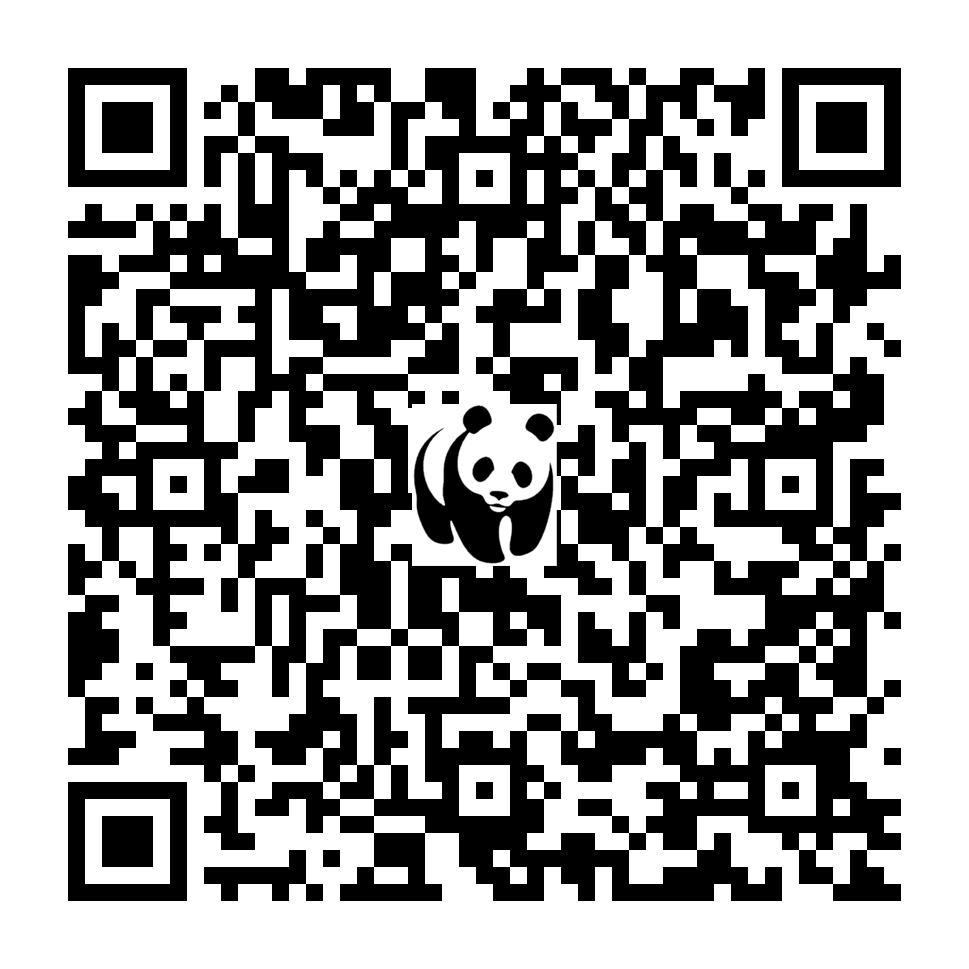 Scan deze QR-code om te doneren (vernieuw de pagina als je geen QR-code ziet)