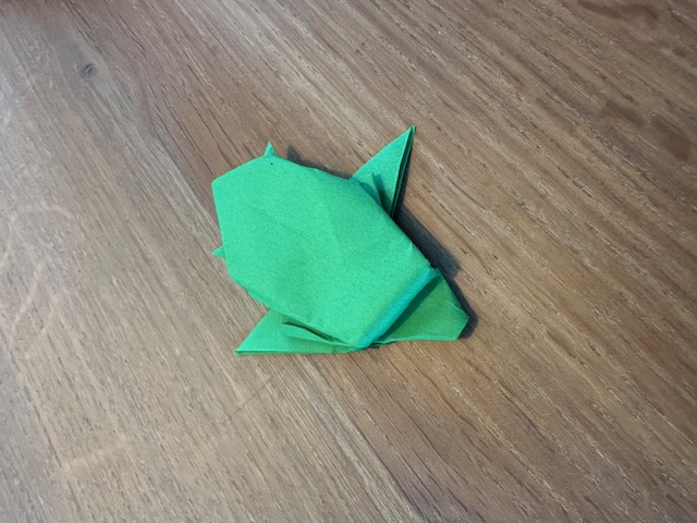 Origami schildpadjes