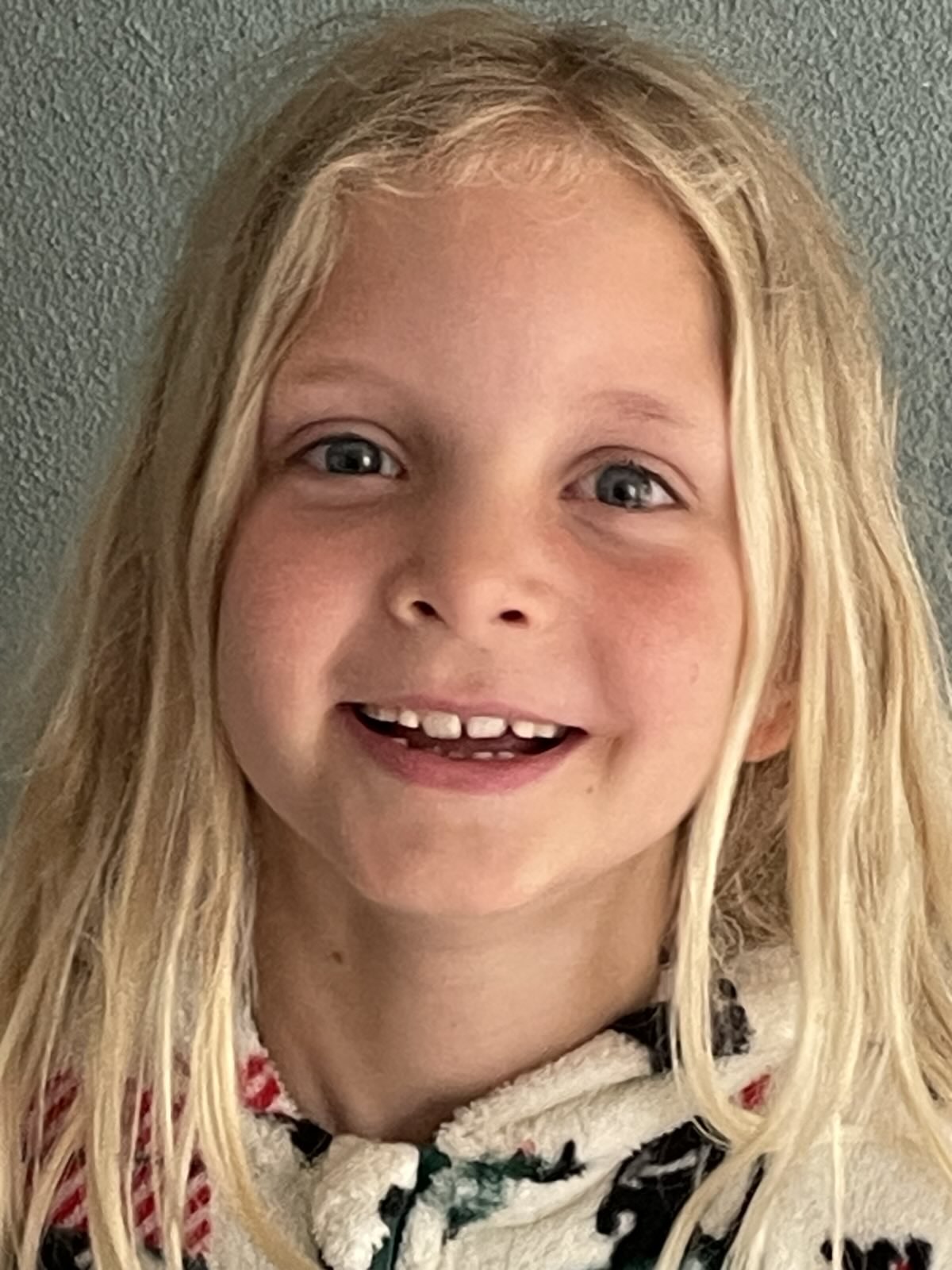 Maels Schildpadbrigade