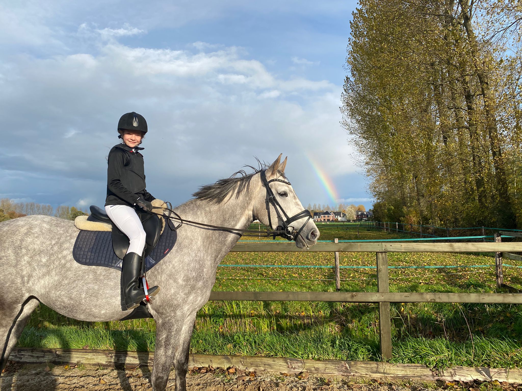 IseLori redt olifantjes