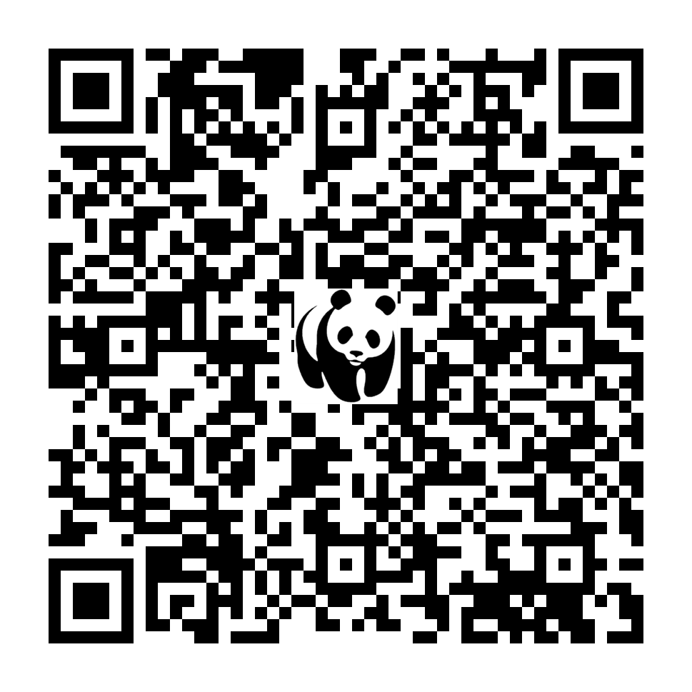 Scan deze QR-code om te doneren (vernieuw de pagina als je geen QR-code ziet)