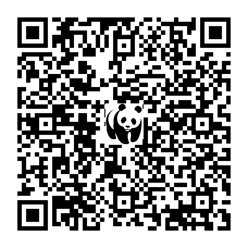 Scan deze QR-code om te doneren (vernieuw de pagina als je geen QR-code ziet)