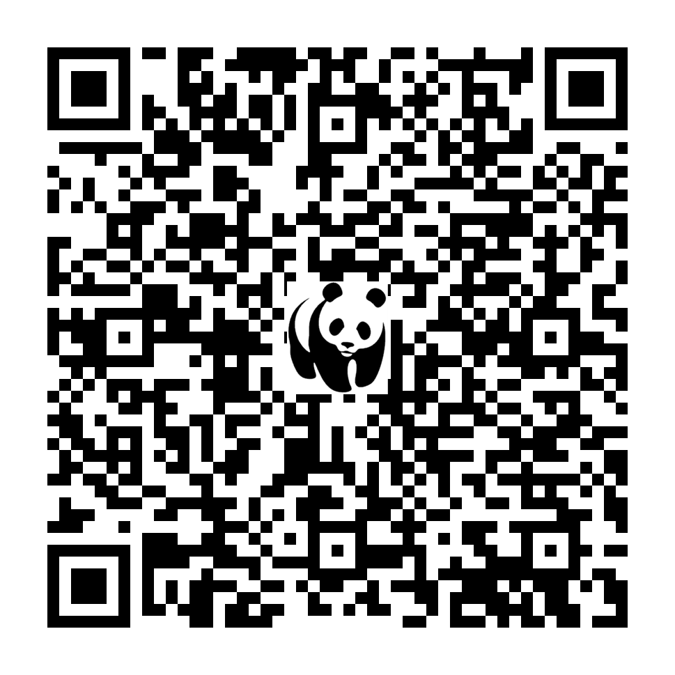 Scan deze QR-code om te doneren (vernieuw de pagina als je geen QR-code ziet)