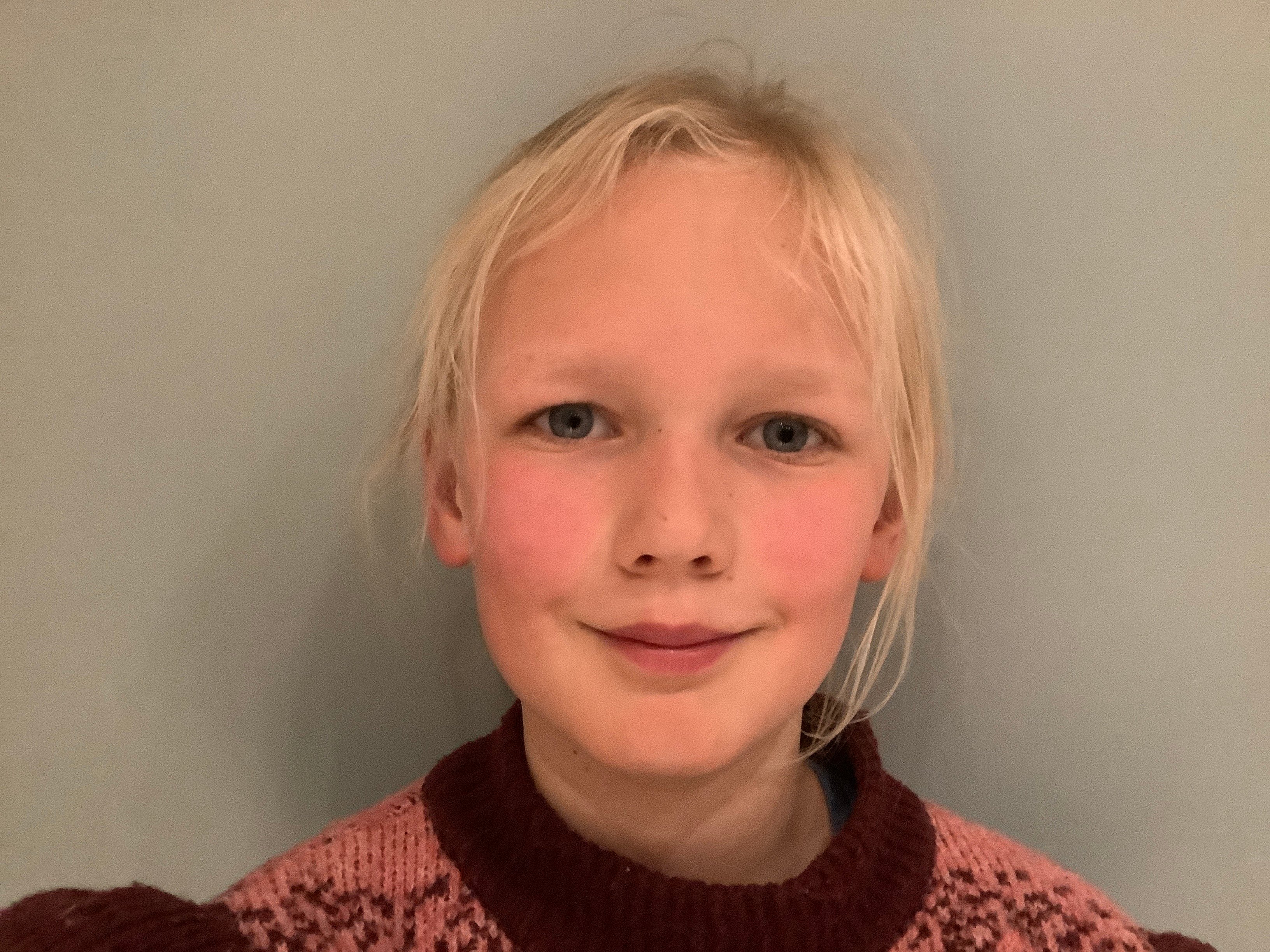 Julia elephant rescue