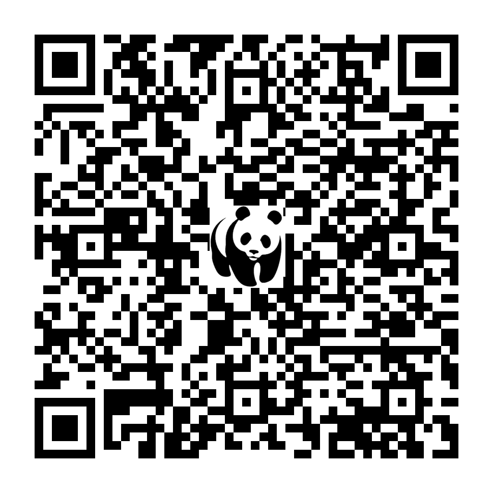 Scan deze QR-code om te doneren (vernieuw de pagina als je geen QR-code ziet)