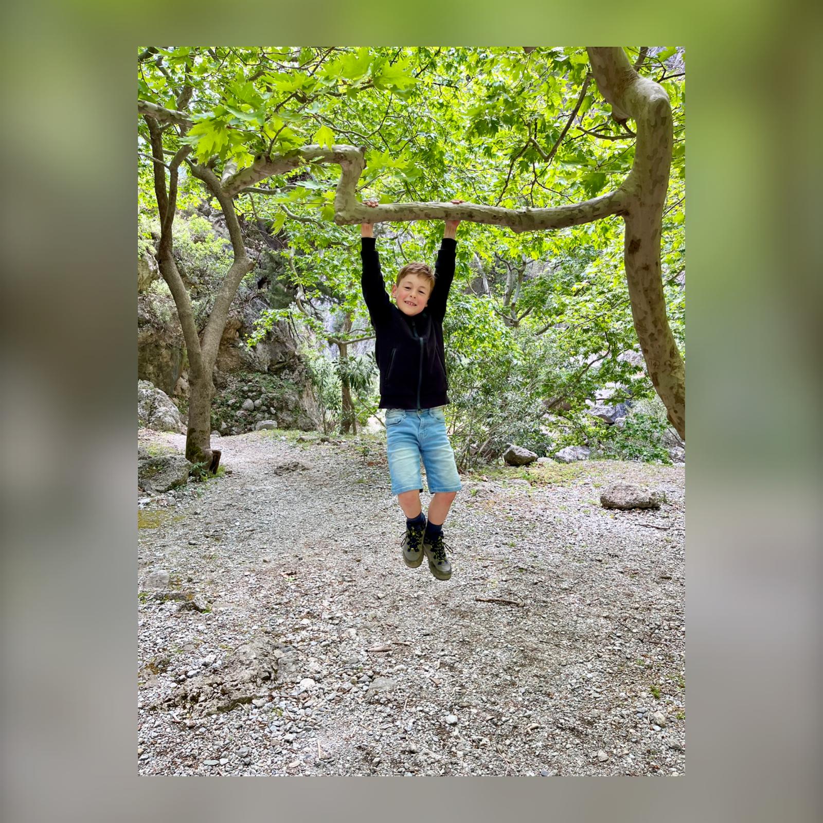 Sams Schildpadredding