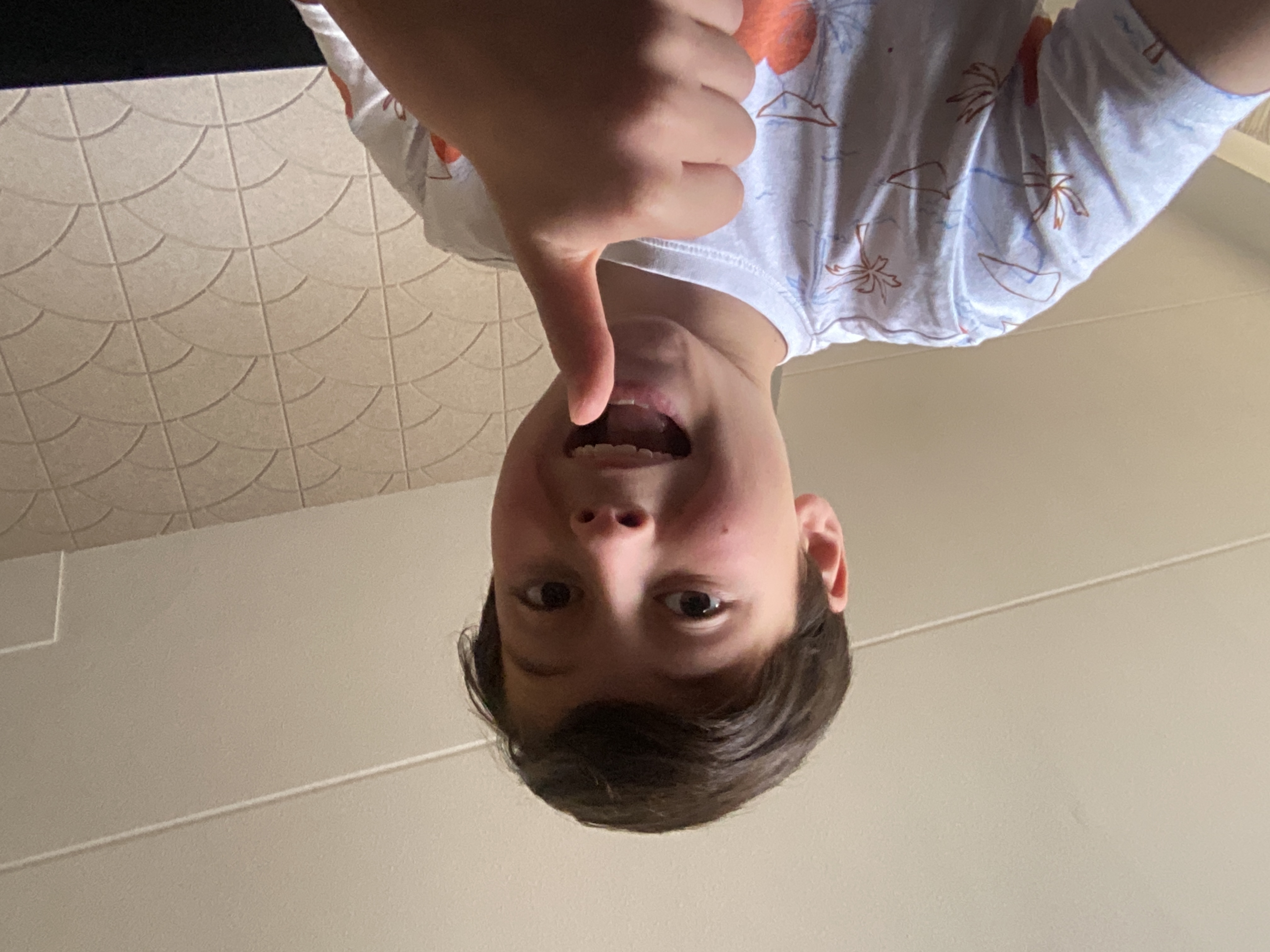 DE actie voor olifanten