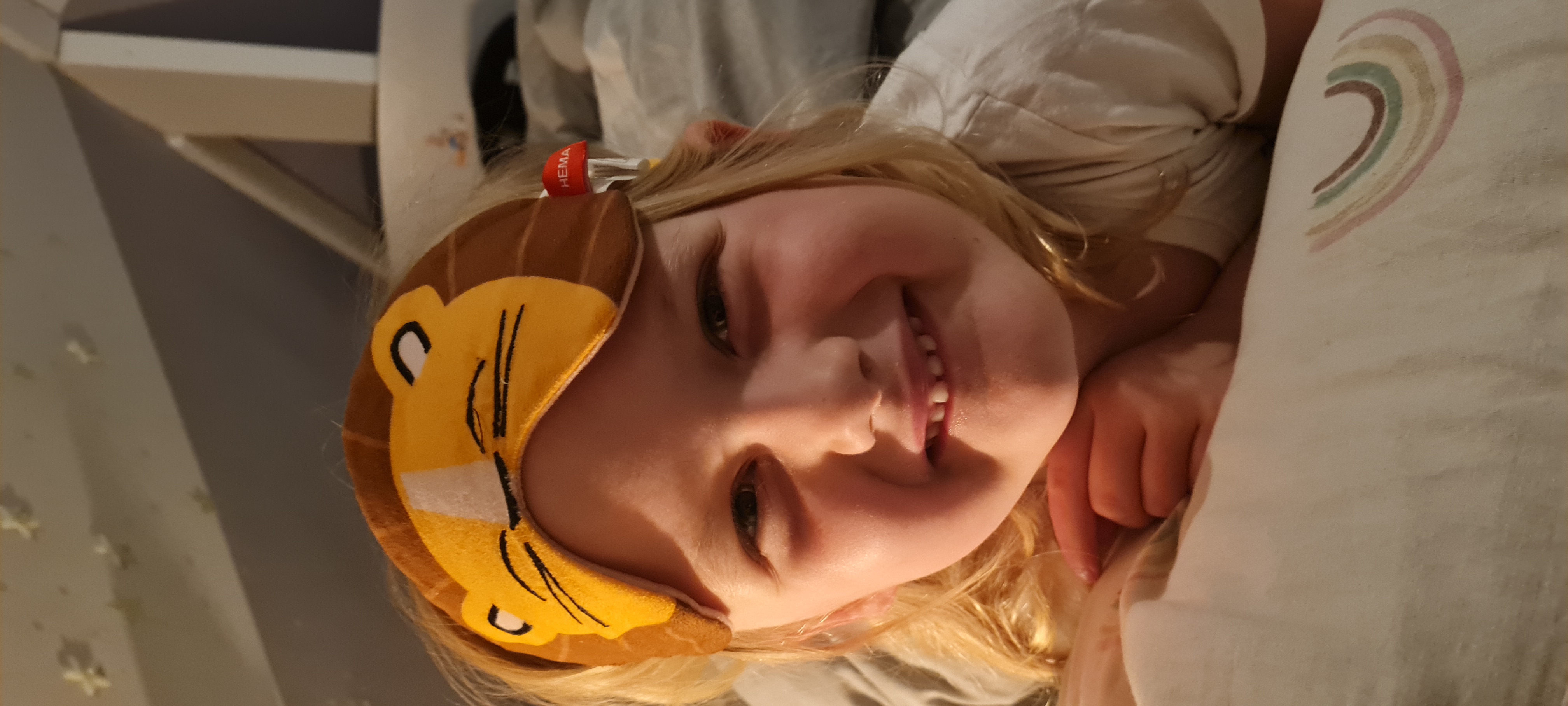 Lois schildpad redt actie