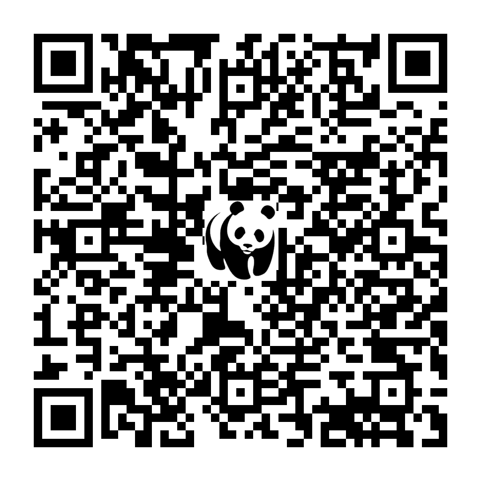 Scan deze QR-code om te doneren (vernieuw de pagina als je geen QR-code ziet)