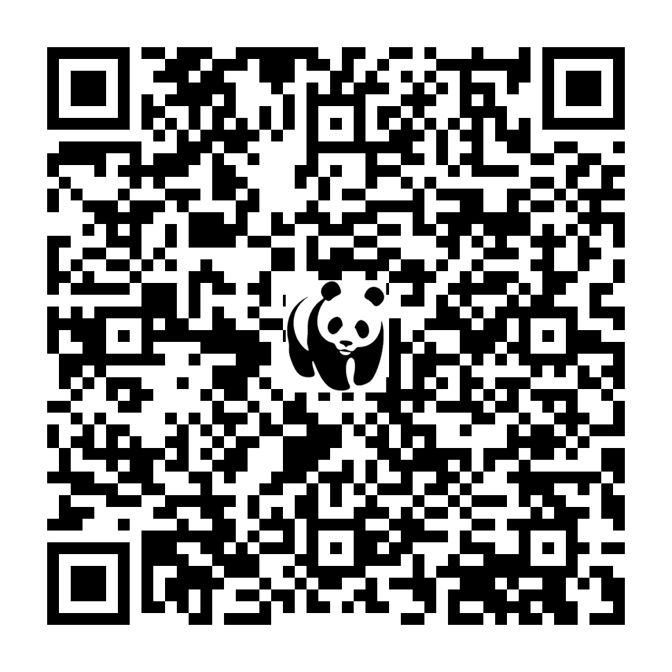 Scan deze QR-code om te doneren (vernieuw de pagina als je geen QR-code ziet)