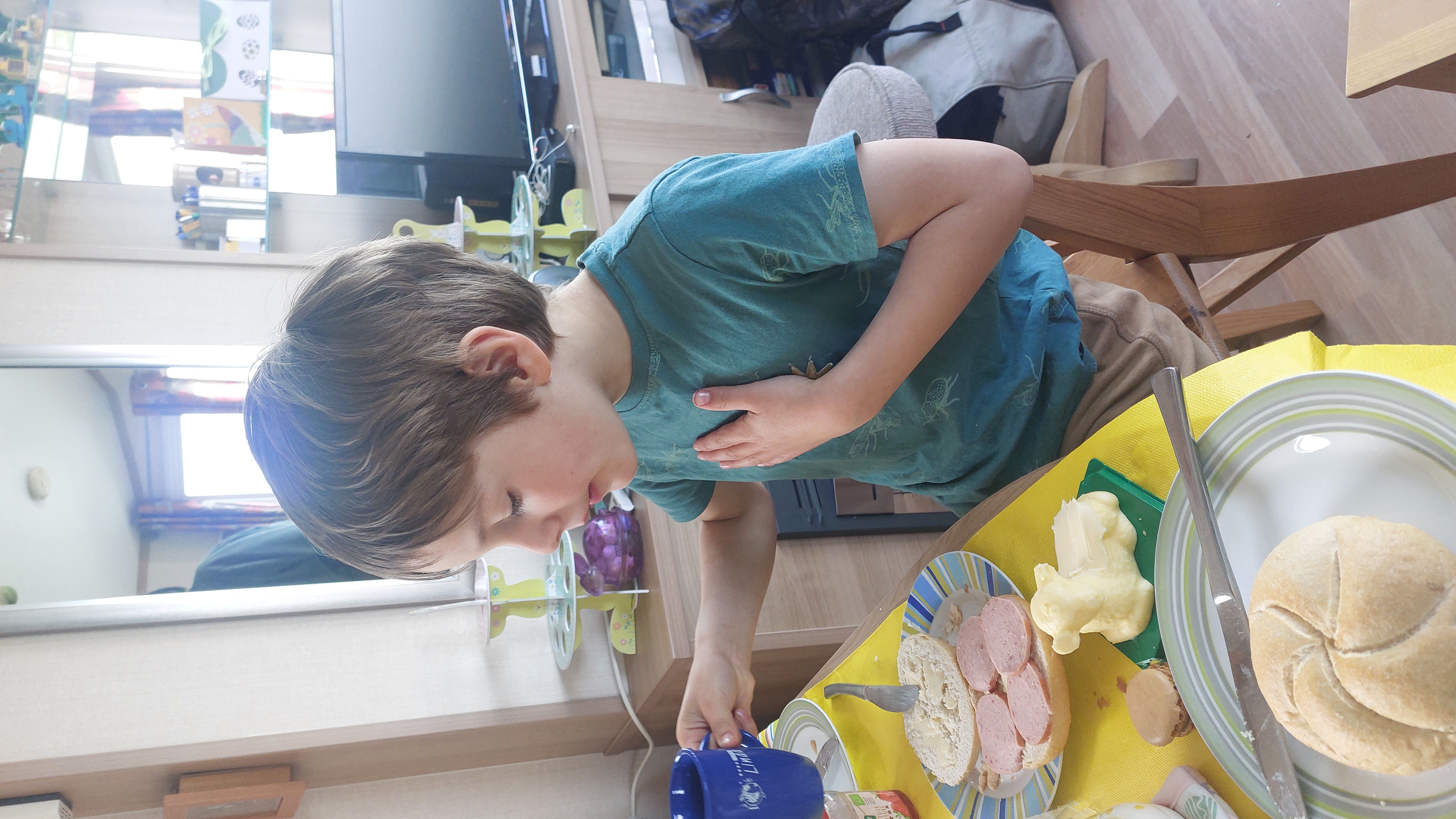 Ik help zeeschildpadden