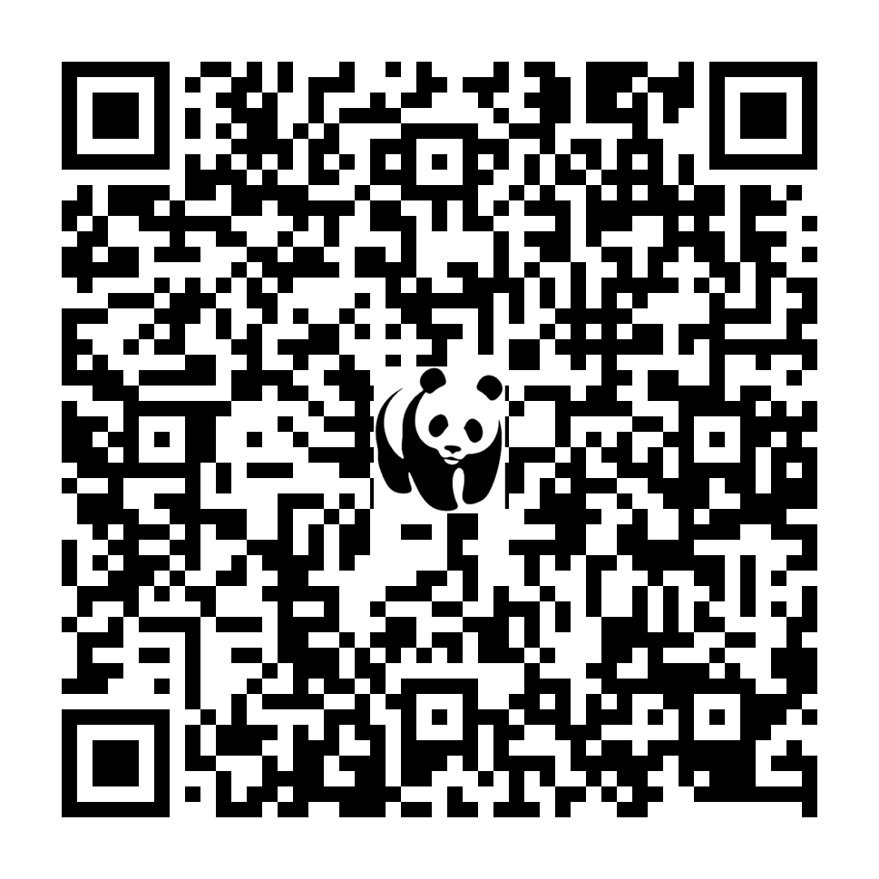 Scan deze QR-code om te doneren (vernieuw de pagina als je geen QR-code ziet)