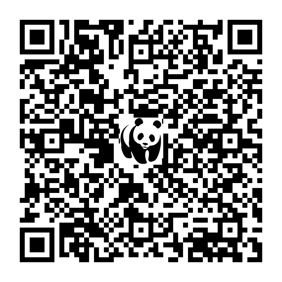 Scan deze QR-code om te doneren (vernieuw de pagina als je geen QR-code ziet)
