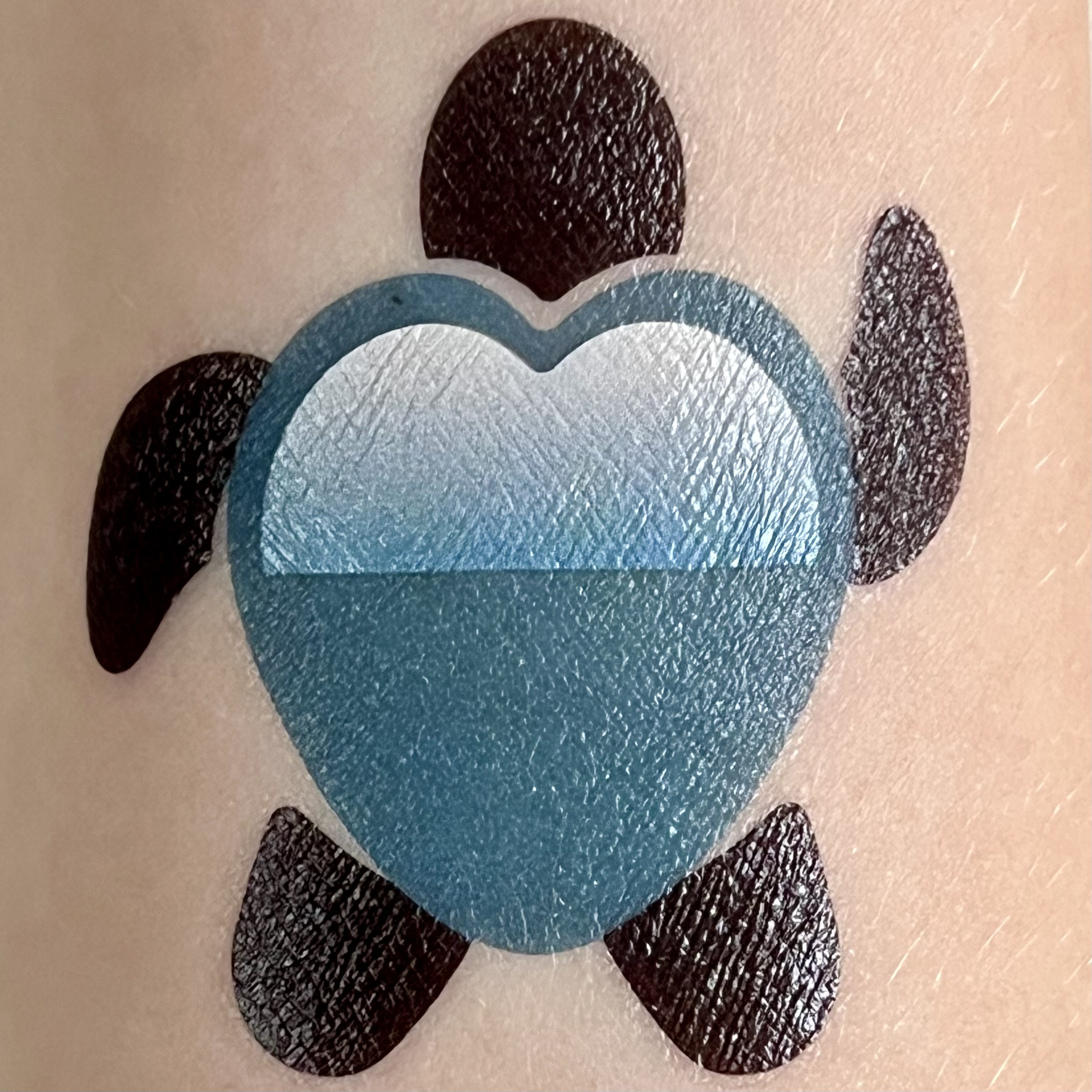 Fee helpt de schildpad