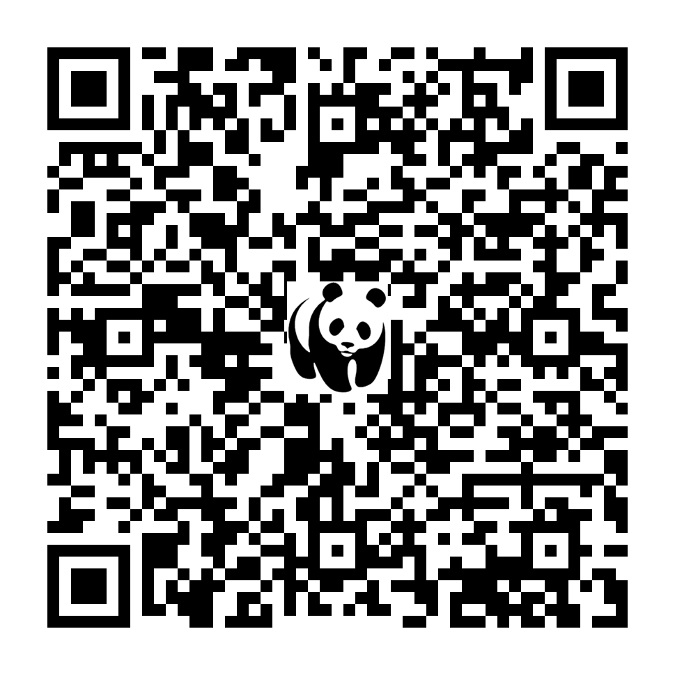 Scan deze QR-code om te doneren (vernieuw de pagina als je geen QR-code ziet)
