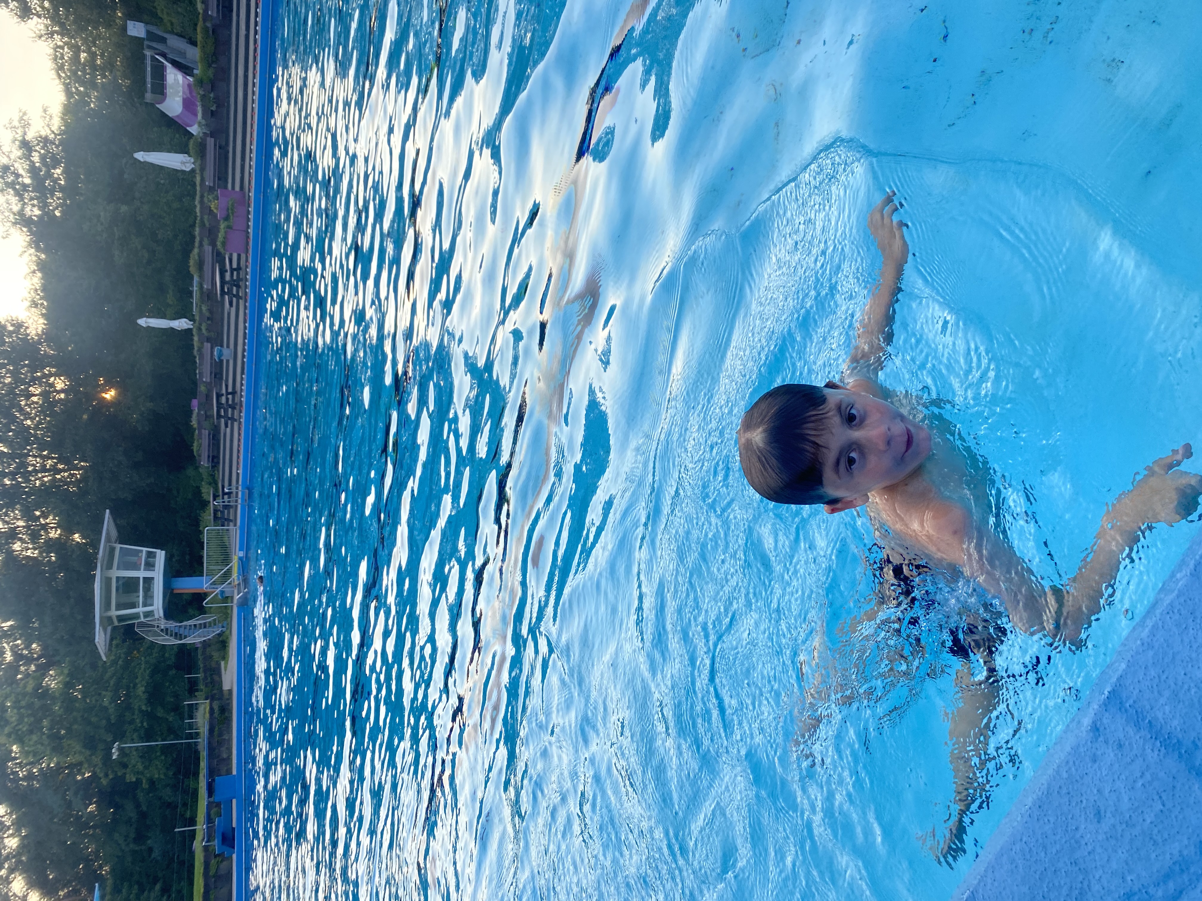 Baantjes voor schildpad