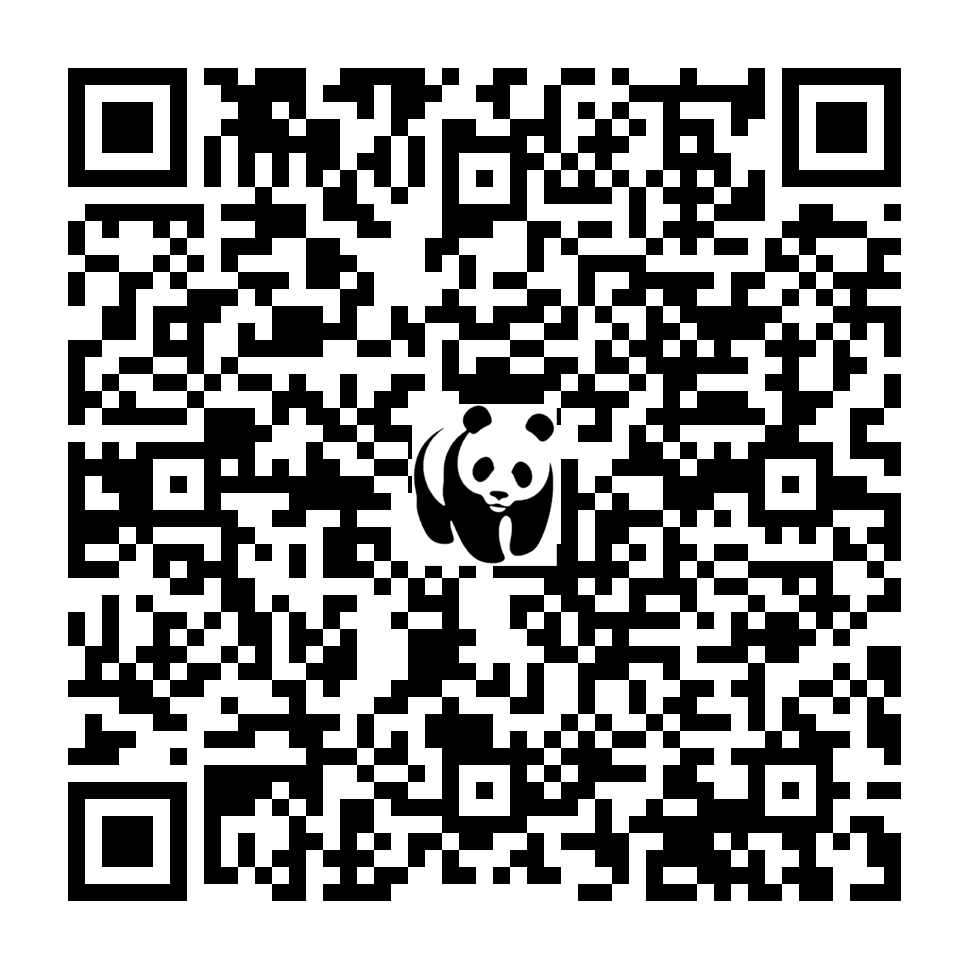 Scan deze QR-code om te doneren (vernieuw de pagina als je geen QR-code ziet)