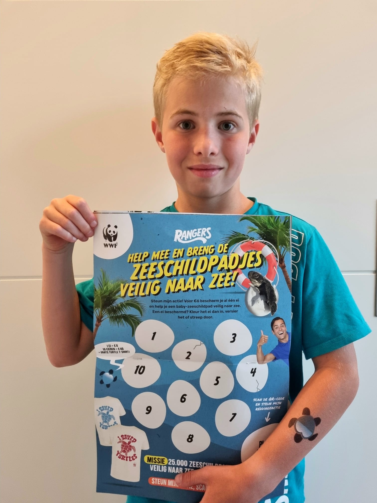 Help de babyschildpadjes