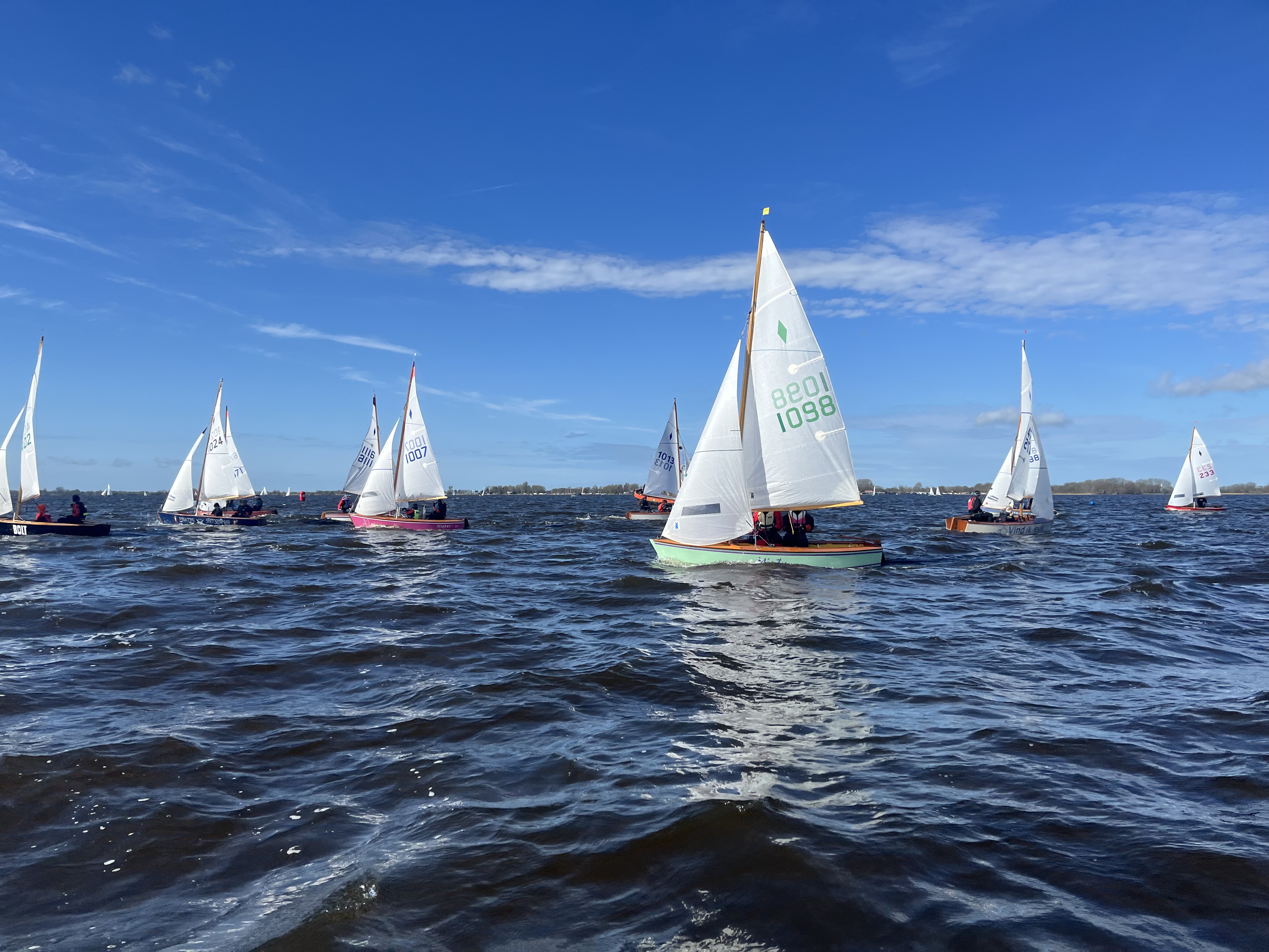 Lotte voor de bos olifant