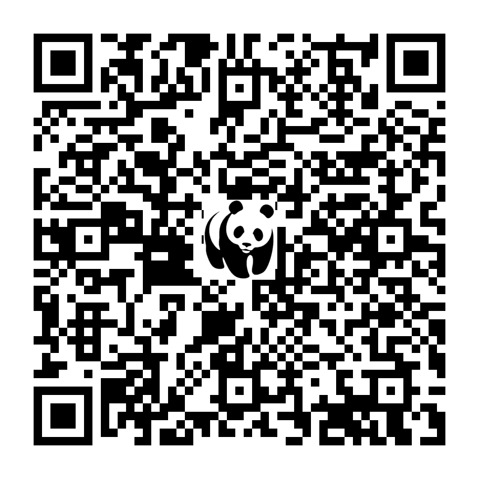 Scan deze QR-code om te doneren (vernieuw de pagina als je geen QR-code ziet)