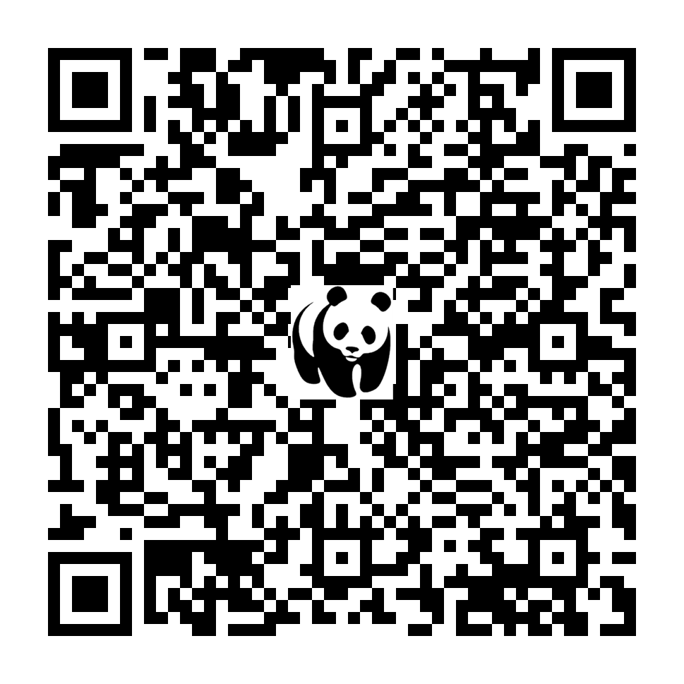 Scan deze QR-code om te doneren (vernieuw de pagina als je geen QR-code ziet)