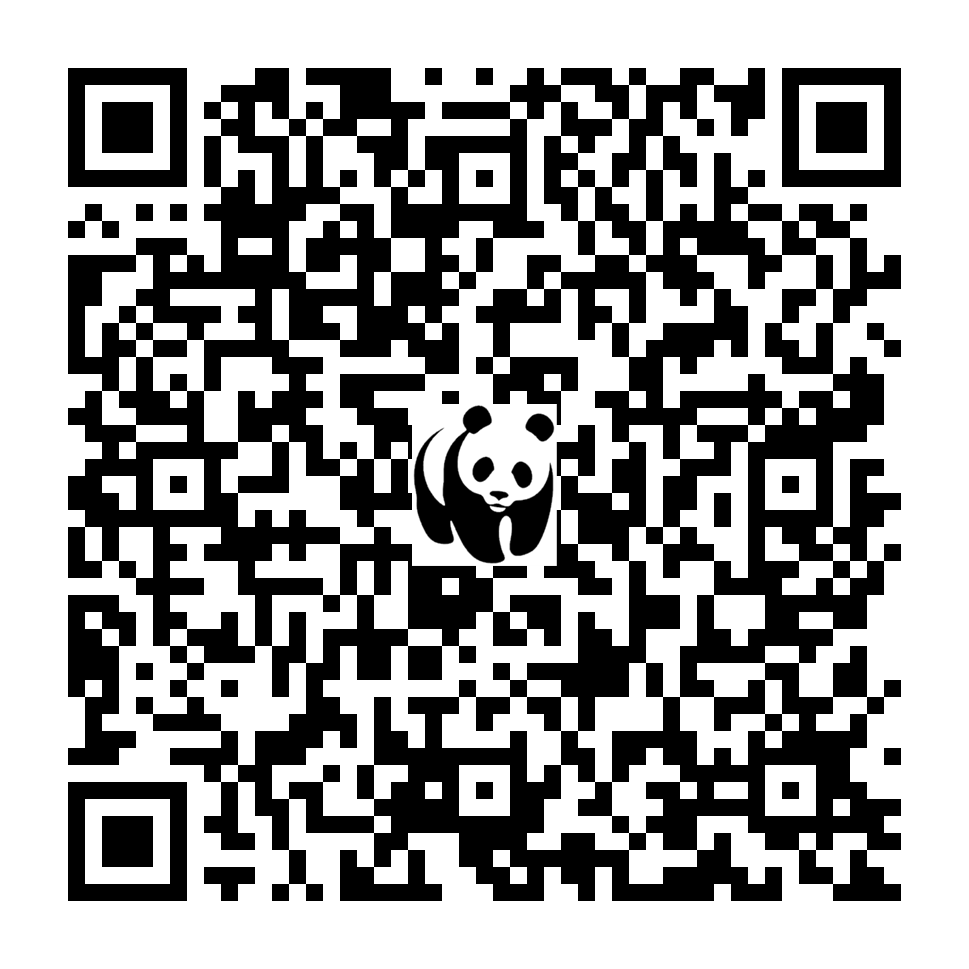 Scan deze QR-code om te doneren (vernieuw de pagina als je geen QR-code ziet)