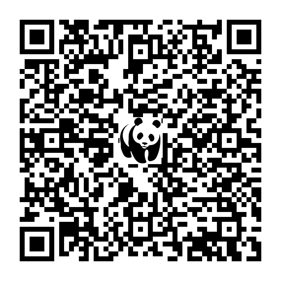 Scan deze QR-code om te doneren (vernieuw de pagina als je geen QR-code ziet)