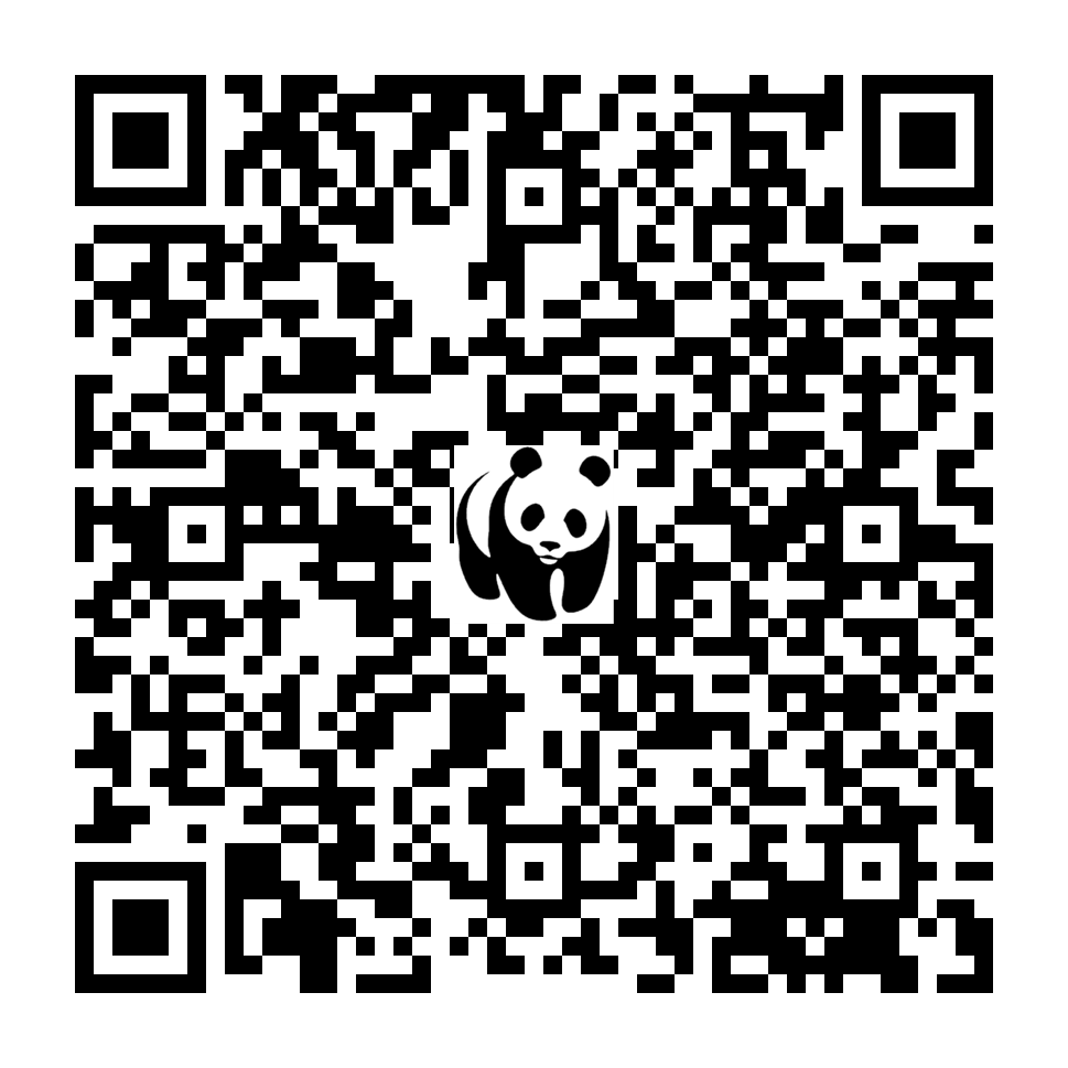 Scan deze QR-code om te doneren (vernieuw de pagina als je geen QR-code ziet)