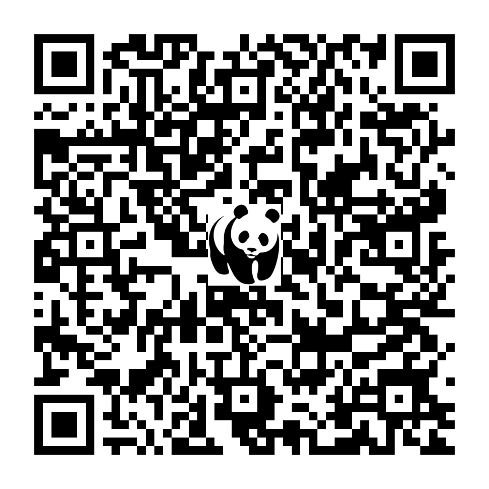 Scan deze QR-code om te doneren (vernieuw de pagina als je geen QR-code ziet)
