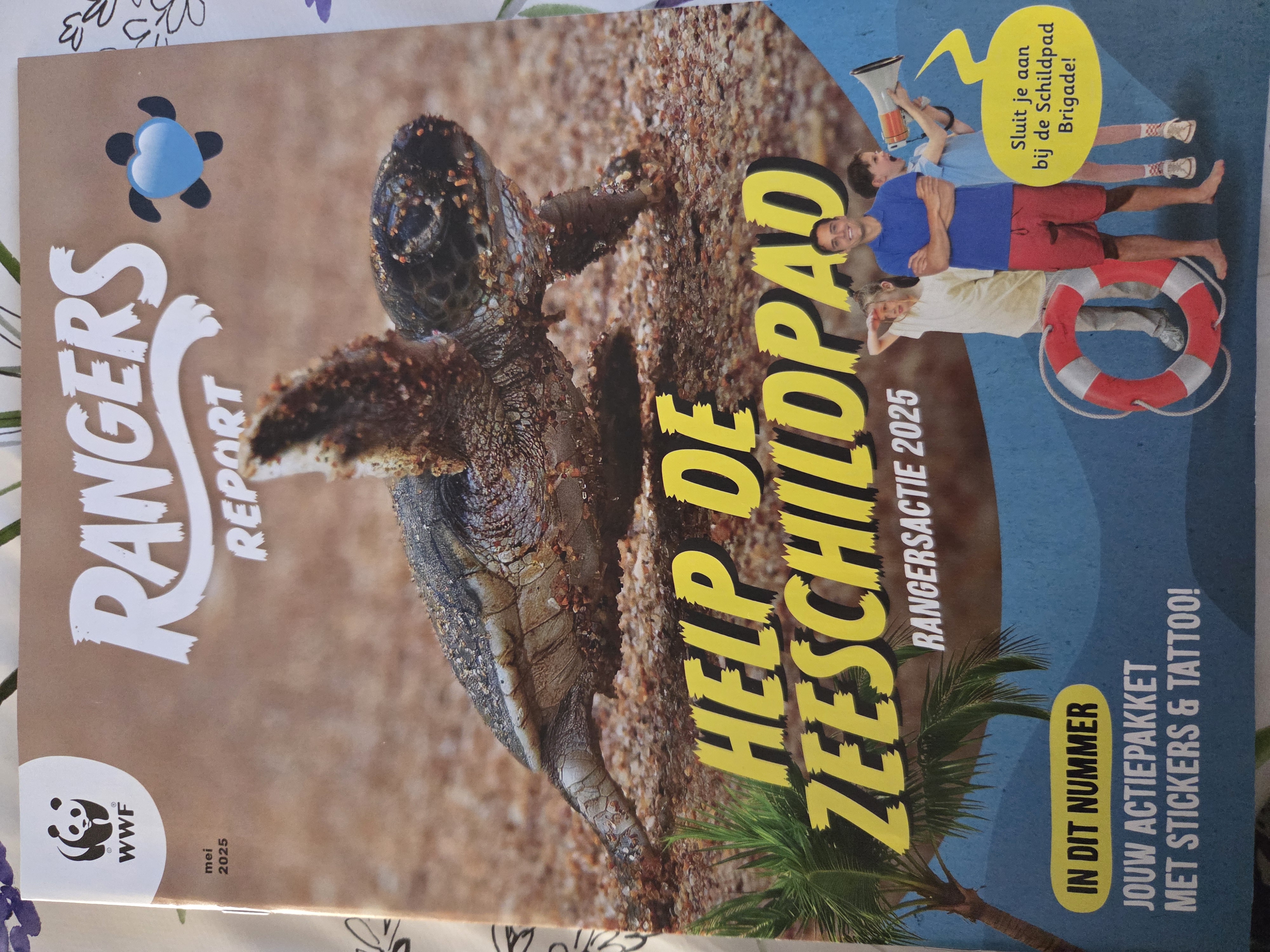 Help de Zeeschildpad