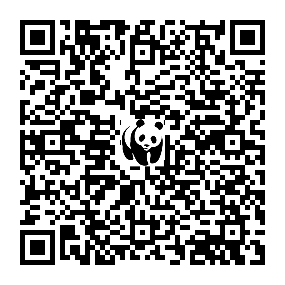 Scan deze QR-code om te doneren (vernieuw de pagina als je geen QR-code ziet)